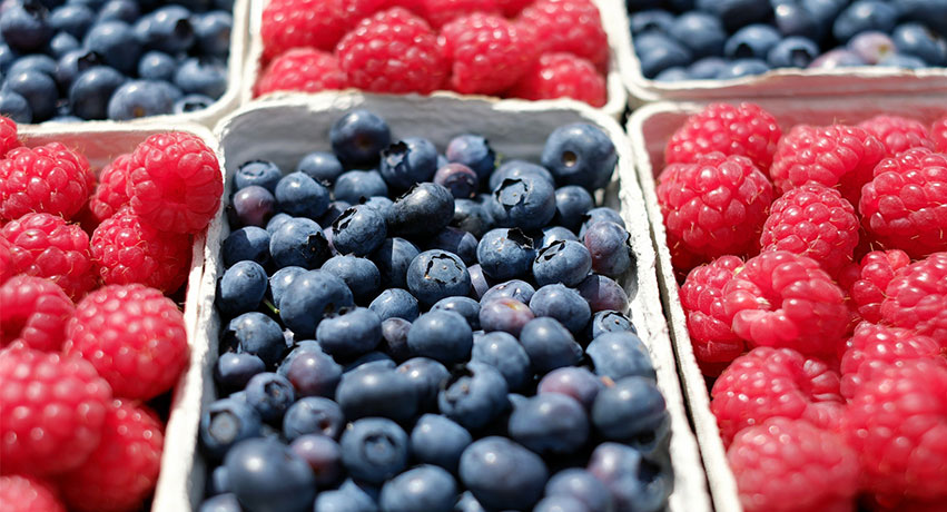 berries - 8 Super Foods To Boost Your Children’s Immune System